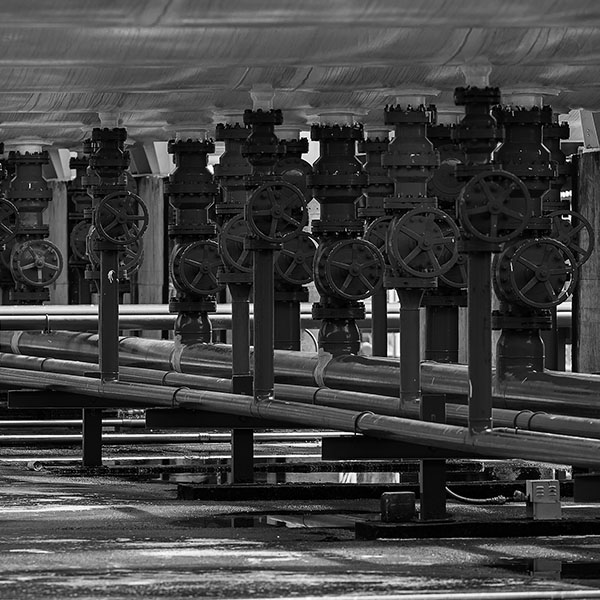 Governance Detail